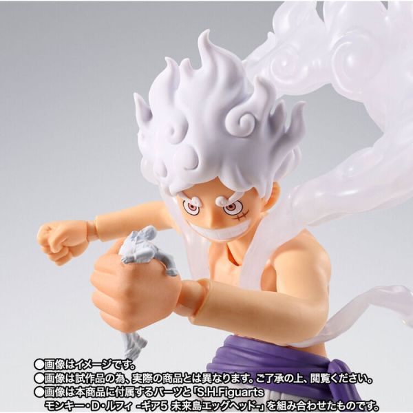 (預購) BANDAI S.H.Figuarts SHF 航海王 波爾薩利諾 未來島蛋頭 可動完成品 (預購) BANDAI S.H.Figuarts SHF 航海王 波爾薩利諾 未來島蛋頭 可動完成品