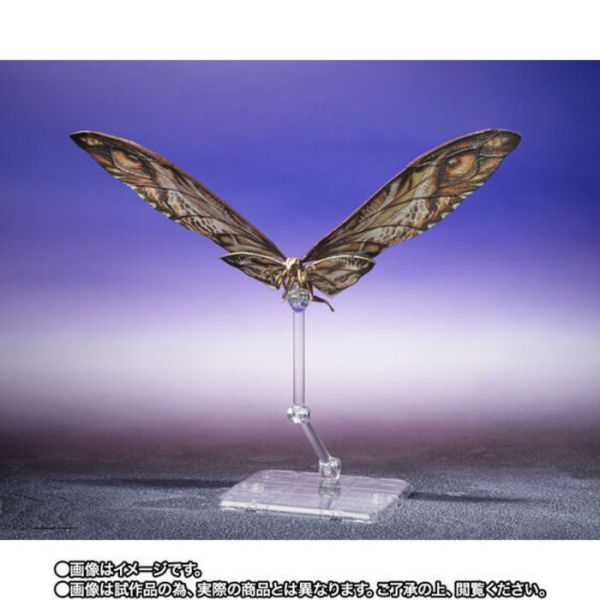 BANDAI S.H.MonsterArts SHM 哥吉拉與金剛 新帝國 小酷&摩斯拉 可動完成品 BANDAI S.H.MonsterArts SHM 哥吉拉與金剛 新帝國 小酷&摩斯拉 可動完成品