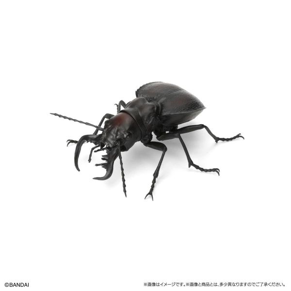 (預購) BANDAI 扭蛋 生物大圖鑑 鍬形蟲12 附樹皮台座(小) 全6種 一套6入販售 20260302 BANDAI 扭蛋 生物大圖鑑 鍬形蟲12 附樹皮台座(小) 全6種 一套6入販售