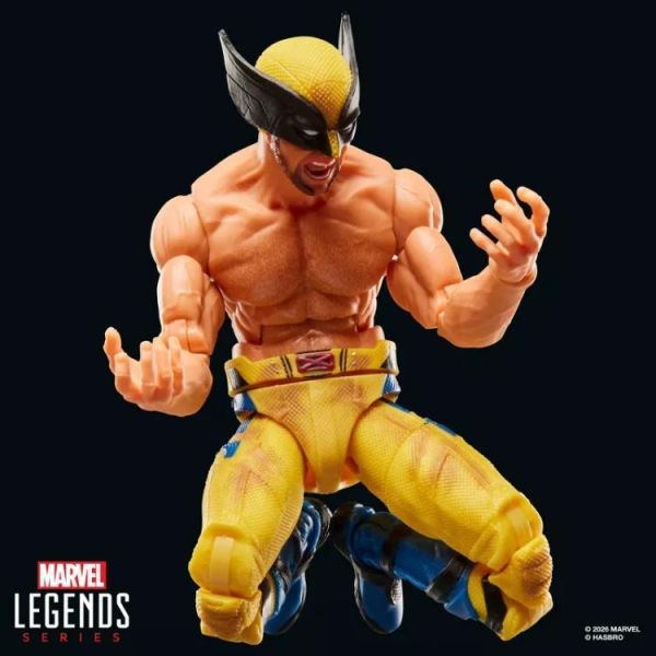 (預購) Hasbro 孩之寶 漫威傳奇 死侍與金剛狼電影 金剛狼 20260614 Hasbro 孩之寶 漫威傳奇 死侍與金剛狼電影 金剛狼