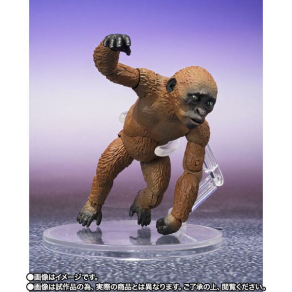 BANDAI S.H.MonsterArts SHM 哥吉拉與金剛 新帝國 小酷&摩斯拉 可動完成品 BANDAI S.H.MonsterArts SHM 哥吉拉與金剛 新帝國 小酷&摩斯拉 可動完成品