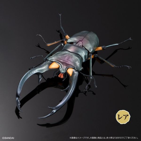 (預購) BANDAI 盒玩 生物大圖鑑 鍬形蟲02 附樹皮底座(中) 全4種 一套4入販售 (預購) BANDAI 盒玩 生物大圖鑑 鍬形蟲02 附樹皮底座(中) 全4種 一套4入販售