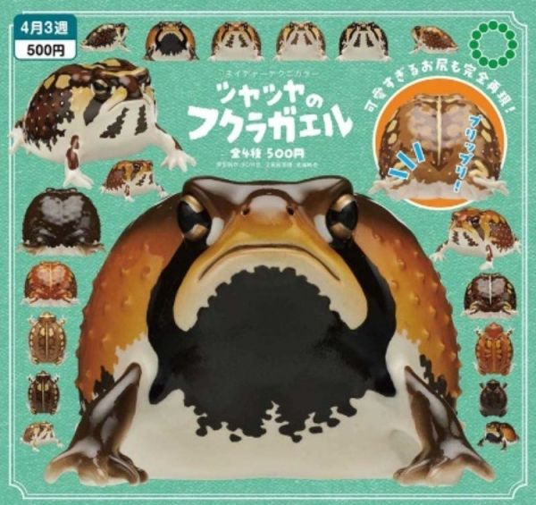 (預購) IKIMON 扭蛋 NTC 咕溜咕溜短頭蛙 全4種 隨機4入販售 20251201 IKIMON 扭蛋 NTC 咕溜咕溜短頭蛙 全4種 隨機4入販售