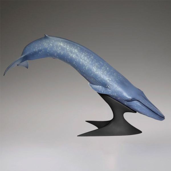 (預購) Kaiyodo 海洋堂 國立科學博物館 戶外展示 藍鯨 20261117 Kaiyodo 海洋堂 國立科學博物館 戶外展示 藍鯨