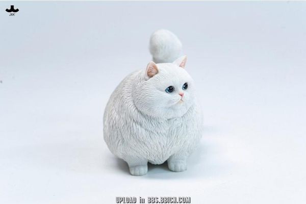 (預購) JXK Studio 動物公仔 胖團貓 JXK390A/JXK390C/JXK390D/JXK390E/JXK390F 分別販售 20261105 JXK Studio 動物公仔 胖團貓 JXK390A/JXK390C/JXK390D/JXK390E/JXK390F 分別販售