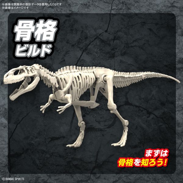 BANDAI 新恐龍組裝模型 07 南方巨獸龍 組裝模型 BANDAI 新恐龍 南方巨獸龍 組裝模型