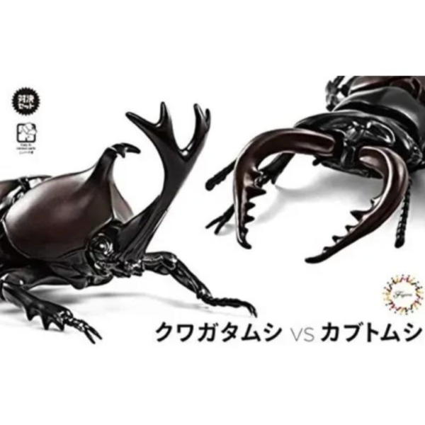 (預購) [再販] Fujimi 富士美 自由研究25 生物編 獨角仙 vs 鍬形蟲 對決套組 組裝模型 20260203 [再販] Fujimi 富士美 自由研究25 生物編 獨角仙 vs 鍬形蟲 對決套組 組裝模型