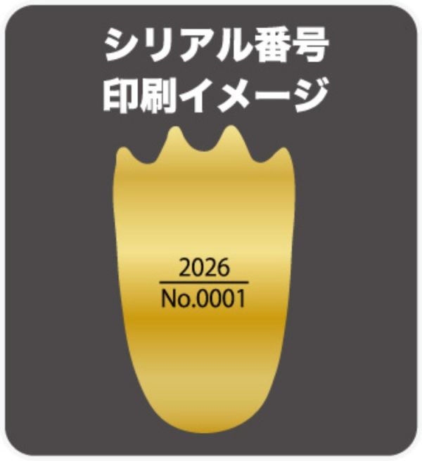 (預購) FUJIMI 富士美 機械基多拉 メカキングギドラ 豪華電鍍版 哥吉拉登場 20251029 FUJIMI 富士美 機械基多拉 メカキングギドラ 豪華電鍍版 哥吉拉登場