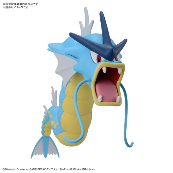 BANDAI 精靈寶可夢 神奇寶貝 Pokemon PLAMO 收藏集 052 暴鯉龍 組裝模型 BANDAI,精靈寶可夢,神奇寶貝,PLAMO,收藏集,52,精選系列,暴鯉龍,組裝模型,