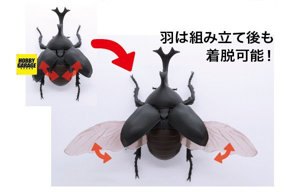 (預購) FUJIMI 富士美 自由研究 021 生物編 獨角仙 組裝模型 20250925 (預購) FUJIMI 富士美 自由研究 021 生物編 獨角仙 組裝模型 20250925
