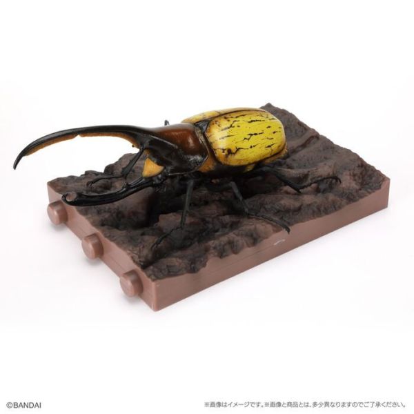 BANDAI 盒玩 生物大圖鑑 獨角仙09 附底座 全6種 一套6入販售 BANDAI 盒玩 生物大圖鑑 獨角仙09 附底座 全6種 一套6入販售