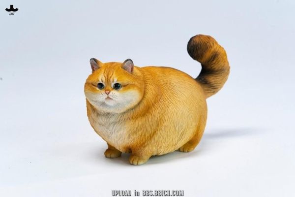 (預購) JXK Studio 動物公仔 胖團貓 JXK390A/JXK390C/JXK390D/JXK390E/JXK390F 分別販售 20261105 JXK Studio 動物公仔 胖團貓 JXK390A/JXK390C/JXK390D/JXK390E/JXK390F 分別販售