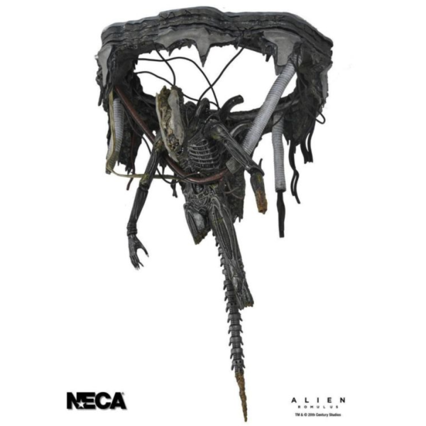 [豪華版] NECA 7吋 異形：羅穆路斯 Xenomorph XX121 實驗室懸吊 可動完成品 [豪華版] NECA 7吋 異形：羅穆路斯 Xenomorph XX121 實驗室懸吊 可動完成品