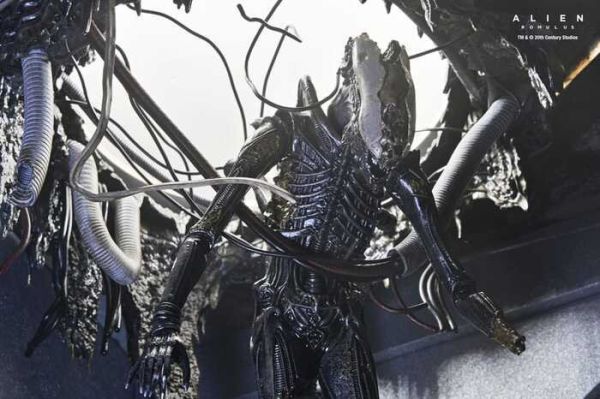 [豪華版] NECA 7吋 異形：羅穆路斯 Xenomorph XX121 實驗室懸吊 可動完成品 [豪華版] NECA 7吋 異形：羅穆路斯 Xenomorph XX121 實驗室懸吊 可動完成品