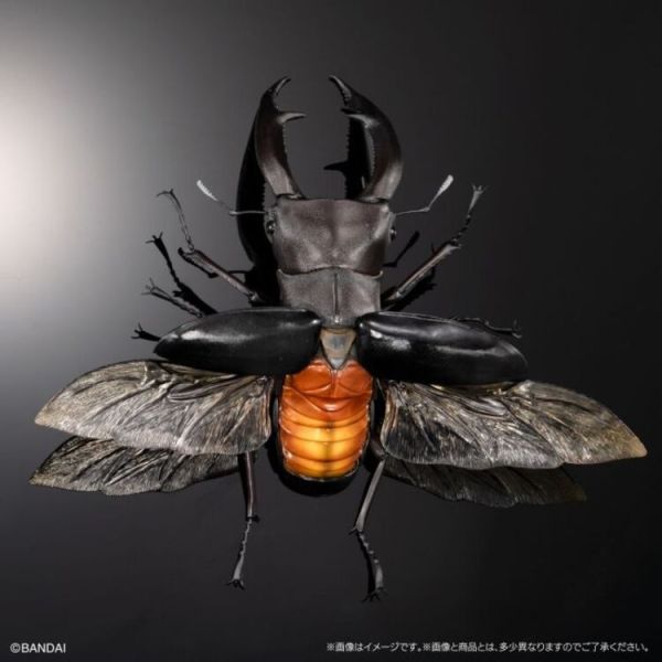 (預購) BANDAI 盒玩 生物大圖鑑PREMIUM 巨顎叉角鍬形蟲 黑 全1種 20260105 BANDAI 盒玩 生物大圖鑑PREMIUM 巨顎叉角鍬形蟲 黑 全1種
