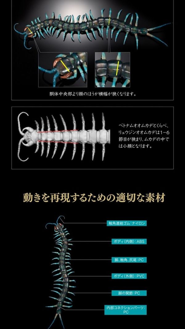 (預購) BANDAI 扭蛋 生物大圖鑑 琉神蜈蚣 20251202 BANDAI 扭蛋 生物大圖鑑 琉神蜈蚣