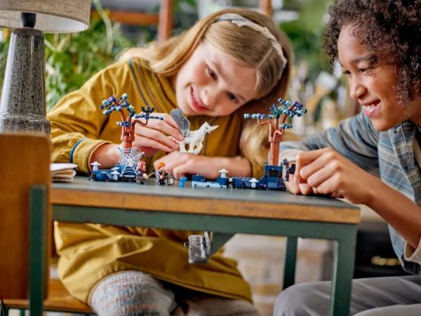 LEGO 樂高 76432 哈利波特 禁忌森林(8) LEGO 樂高 76432 哈利波特 禁忌森林(8)