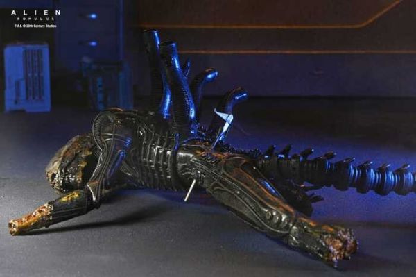 [豪華版] NECA 7吋 異形：羅穆路斯 Xenomorph XX121 實驗室懸吊 可動完成品 [豪華版] NECA 7吋 異形：羅穆路斯 Xenomorph XX121 實驗室懸吊 可動完成品