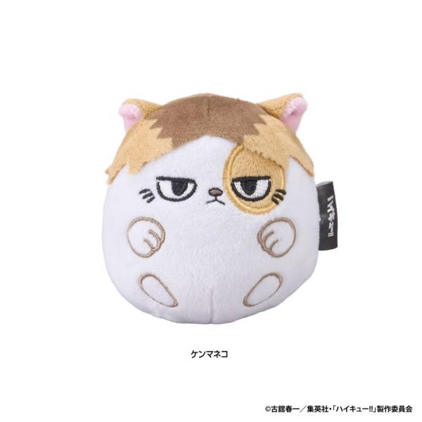 (預購) eyeUP 排球少年 動物絨毛不倒翁 日向翔陽 影山飛雄 黑尾鐵朗 孤爪研磨 分別販售 20260817 eyeUP 排球少年 動物絨毛不倒翁 日向翔陽 影山飛雄 黑尾鐵朗 孤爪研磨 分別販售