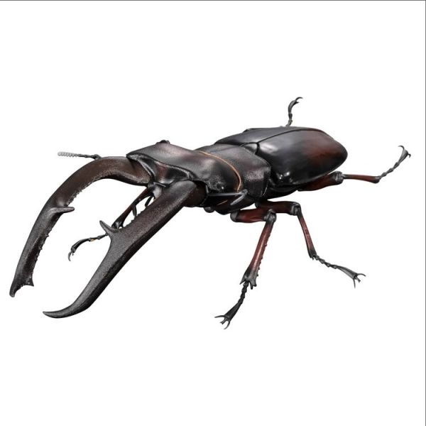 (預購) BANDAI 盒玩 生物大圖鑑PREMIUM 巨顎叉角鍬形蟲 紅 全1種 20260105 BANDAI 盒玩 生物大圖鑑PREMIUM 巨顎叉角鍬形蟲 紅 全1種