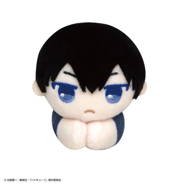 [再販] Max Limited 排球少年 夾手趴姿玩偶 全6種 一中盒6入販售 [再販] Max Limited 排球少年 夾手趴姿玩偶 全6種 一中盒6入販售