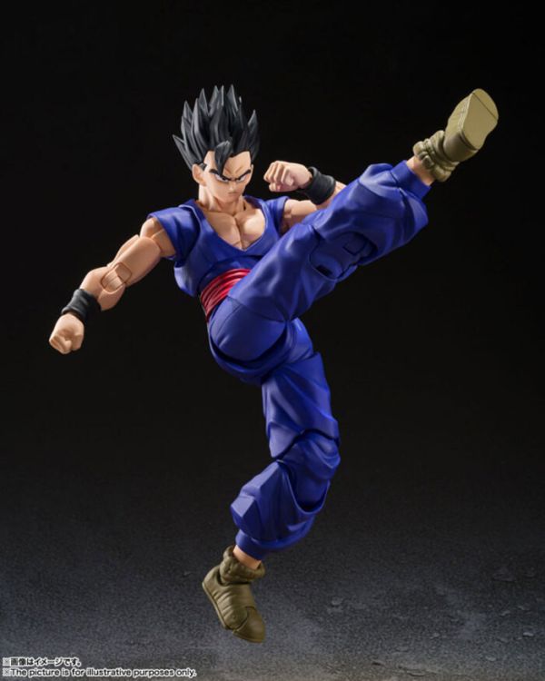 BANDAI S.H.Figuarts SHF 七龍珠 究極悟飯 SUPER HERO BANDAI S.H.Figuarts SHF 七龍珠 究極悟飯 SUPER HERO
