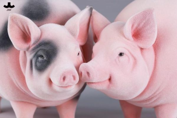 (預購) JXK Studio JXK343 動物公仔 圓滿豬 A 20260423 JXK Studio JXK343 動物公仔 圓滿豬 A