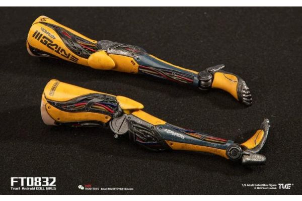 (預購) True1Toys 1/6 人造人Bill 白髮版 FT0832 可動完成品 20260416 True1Toys 1/6 人造人Bill 白髮版 FT0832 可動完成品