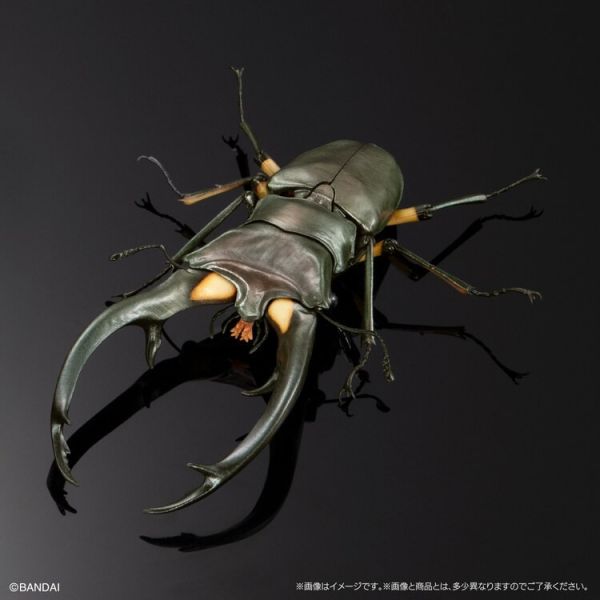 (預購) BANDAI 盒玩 生物大圖鑑 鍬形蟲02 附樹皮底座(中) 全4種 一套4入販售 (預購) BANDAI 盒玩 生物大圖鑑 鍬形蟲02 附樹皮底座(中) 全4種 一套4入販售