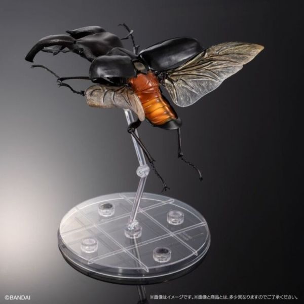 (預購) BANDAI 盒玩 生物大圖鑑PREMIUM 巨顎叉角鍬形蟲 黑 全1種 20260105 BANDAI 盒玩 生物大圖鑑PREMIUM 巨顎叉角鍬形蟲 黑 全1種