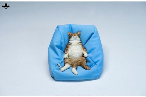 (預購) JXK336 動物 沙發懶貓 A 20260326 JXK336 動物 沙發懶貓 A