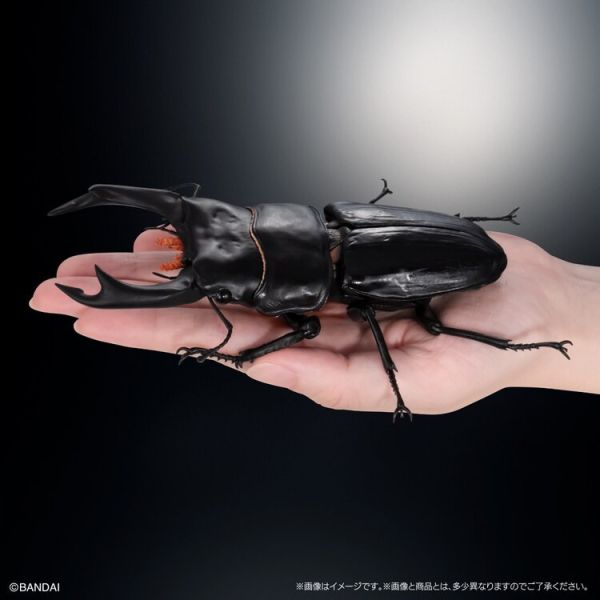 (預購) BANDAI 盒玩 生物大圖鑑 鍬形蟲02 附樹皮底座(中) 全4種 一套4入販售 (預購) BANDAI 盒玩 生物大圖鑑 鍬形蟲02 附樹皮底座(中) 全4種 一套4入販售
