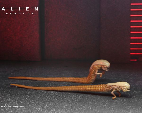 NECA 異形 羅穆路斯 配件組 可動完成品 NECA 異形 羅穆路斯 配件組 可動完成品