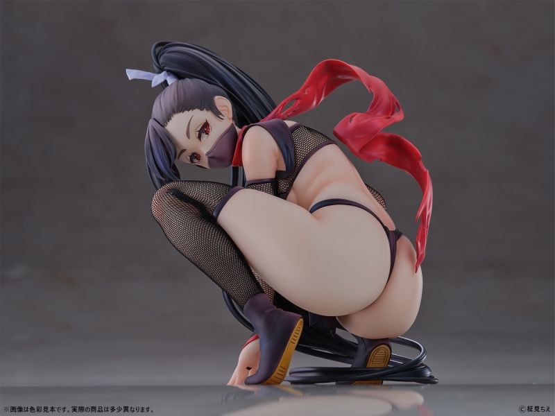 FOTS JAPAN 1/6 PMMA人形 忍 by 柾見ちえ FOTS JAPAN 1/6 PMMA人形 忍 by 柾見ちえ