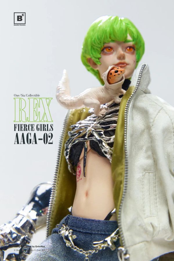 BeautifulChemistry 1/6 UV202501 兇猛少女系列 雇傭槍兵AAGA-02 Rex雷克斯 可動完成品 BeautifulChemistry 1/6 UV202501 兇猛少女系列 雇傭槍兵AAGA-02 Rex雷克斯 可動完成品