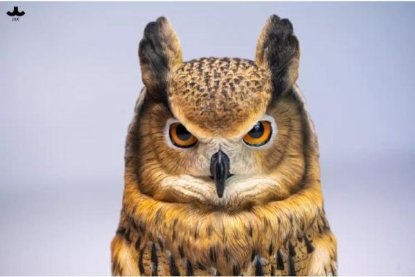 (預購) JXK Studio SA002 Statue Aura系列 長耳鴞頭雕 20260423 JXK Studio SA002 Statue Aura系列 長耳鴞頭雕