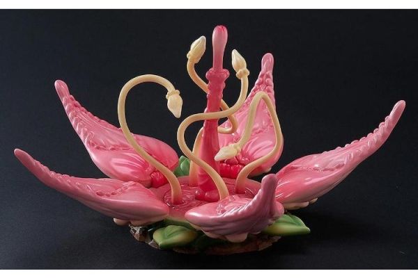 (預購) Sushing 台座系列 UBC-087 植物系台座 附特典 可動完成品 20260607 Sushing 台座系列 UBC-087 植物系台座 附特典 可動完成品