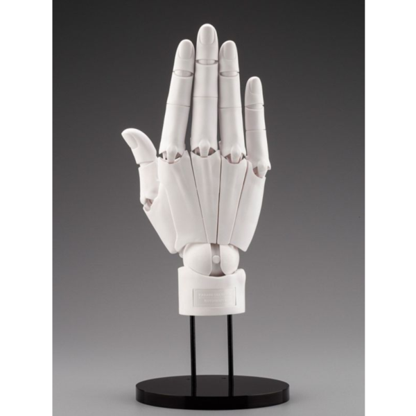 (預購) [再販] Kotobukiya 壽屋 x 加加美高浩 A.S.I 終極手部模型 白色 右手 20260121 [再販] Kotobukiya 壽屋 x 加加美高浩 A.S.I 終極手部模型 白色 右手