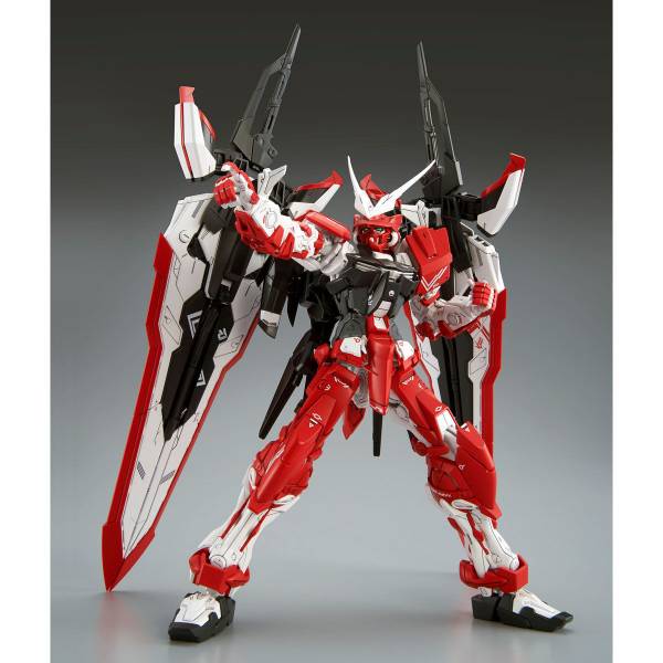 BANDAI 1/100 MG 逆紅異端鋼彈 機動戰士 鋼彈SEED BANDAI,1/100, MG, 逆紅,異端鋼彈, 機動戰士, 鋼彈,SEED,