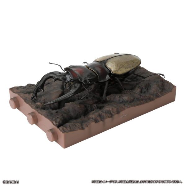(預購) BANDAI 扭蛋 生物大圖鑑 鍬形蟲12 附樹皮台座(小) 全6種 一套6入販售 20260302 BANDAI 扭蛋 生物大圖鑑 鍬形蟲12 附樹皮台座(小) 全6種 一套6入販售