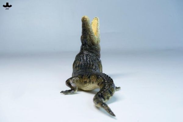 (預購) JXK Studio JXK339 動物公仔 荒灘巨鱷 20260421 JXK Studio JXK339 動物公仔 荒灘巨鱷