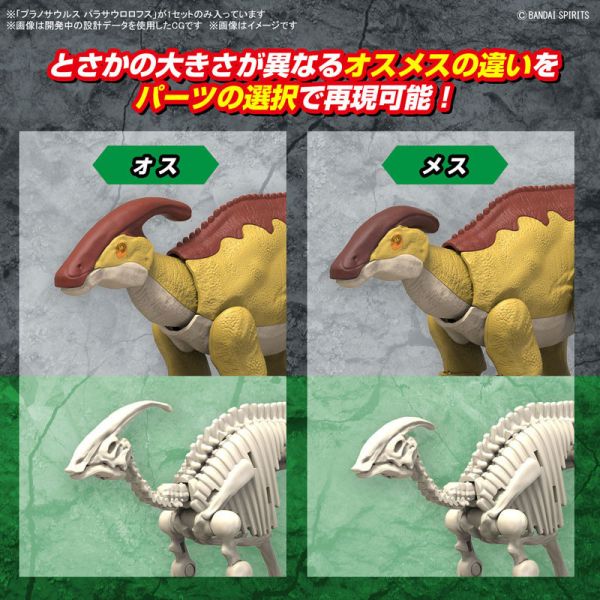 BANDAI 新恐龍組裝模型 09 副櫛龍 組裝模型 BANDAI 新恐龍組裝模型 09 副櫛龍 組裝模型
