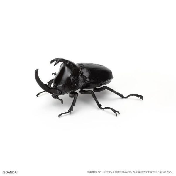 BANDAI 盒玩 生物大圖鑑 獨角仙09 附底座 全6種 一套6入販售 BANDAI 盒玩 生物大圖鑑 獨角仙09 附底座 全6種 一套6入販售