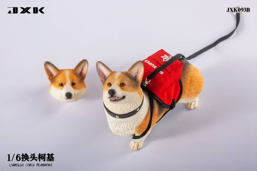 JXK 1/6 換頭柯基 動物系列 塗裝完成品 全3種 分別販售 JXK,1/6,換頭柯基,動物系列,塗裝完成品,全3種,分別販售,