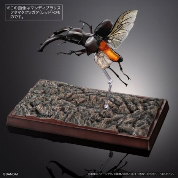 (預購) BANDAI 盒玩 生物大圖鑑PREMIUM 巨顎叉角鍬形蟲 黑 全1種 20260105 BANDAI 盒玩 生物大圖鑑PREMIUM 巨顎叉角鍬形蟲 黑 全1種