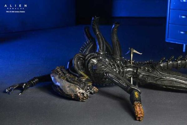 [豪華版] NECA 7吋 異形：羅穆路斯 Xenomorph XX121 實驗室懸吊 可動完成品 [豪華版] NECA 7吋 異形：羅穆路斯 Xenomorph XX121 實驗室懸吊 可動完成品