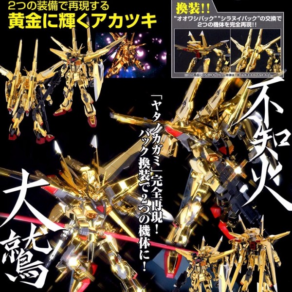BANDAI 1/100 SEED DS015 曉鋼彈 大鷲/不知火 電鍍 機動戰士 鋼彈SEED BANDAI,1/100,SEED,DS015,曉鋼彈,大鷲/不知火,電鍍 ,機動戰士,鋼彈SEED,