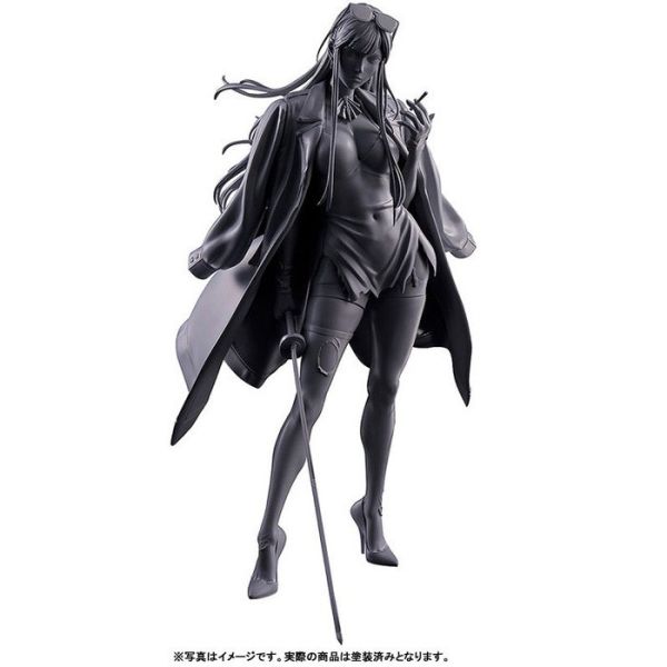HIROKAWA G.A.F.C.系列 IRENA by GUWEIZ 靜態完成品 HIROKAWA G.A.F.C.系列 IRENA by GUWEIZ 靜態完成品