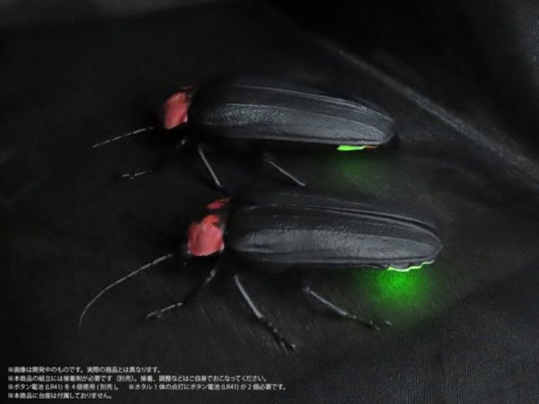 M.I.C. 源氏螢火蟲 雌性＆雄性 組裝模型 M.I.C. 源氏螢火蟲 雌性＆雄性 組裝模型