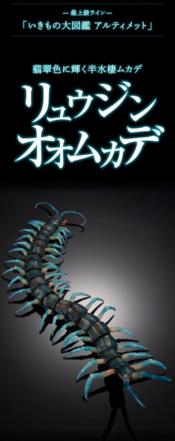 (預購) BANDAI 扭蛋 生物大圖鑑 琉神蜈蚣 20251202 BANDAI 扭蛋 生物大圖鑑 琉神蜈蚣